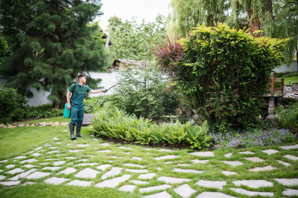 Pest Prevention Services in Glassboro, NJ