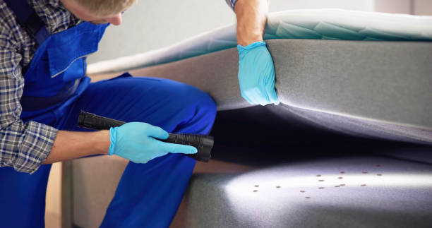 Best Pest Control Near Me  in Glassboro, NJ