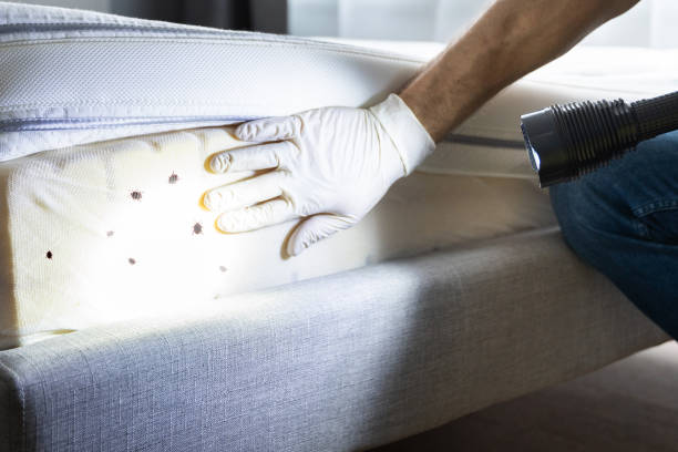 Best Exterminator Services  in Glassboro, NJ
