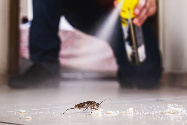 Flea Control Services in Glassboro, NJ