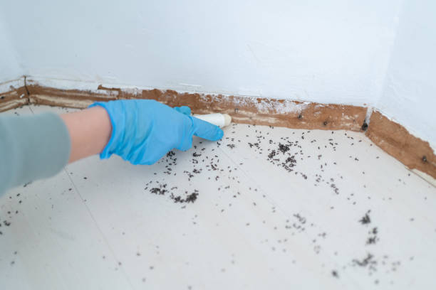 Best Pest Removal Services  in Glassboro, NJ
