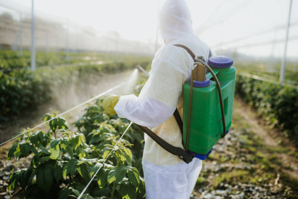 Best Emergency Pest Control  in Glassboro, NJ